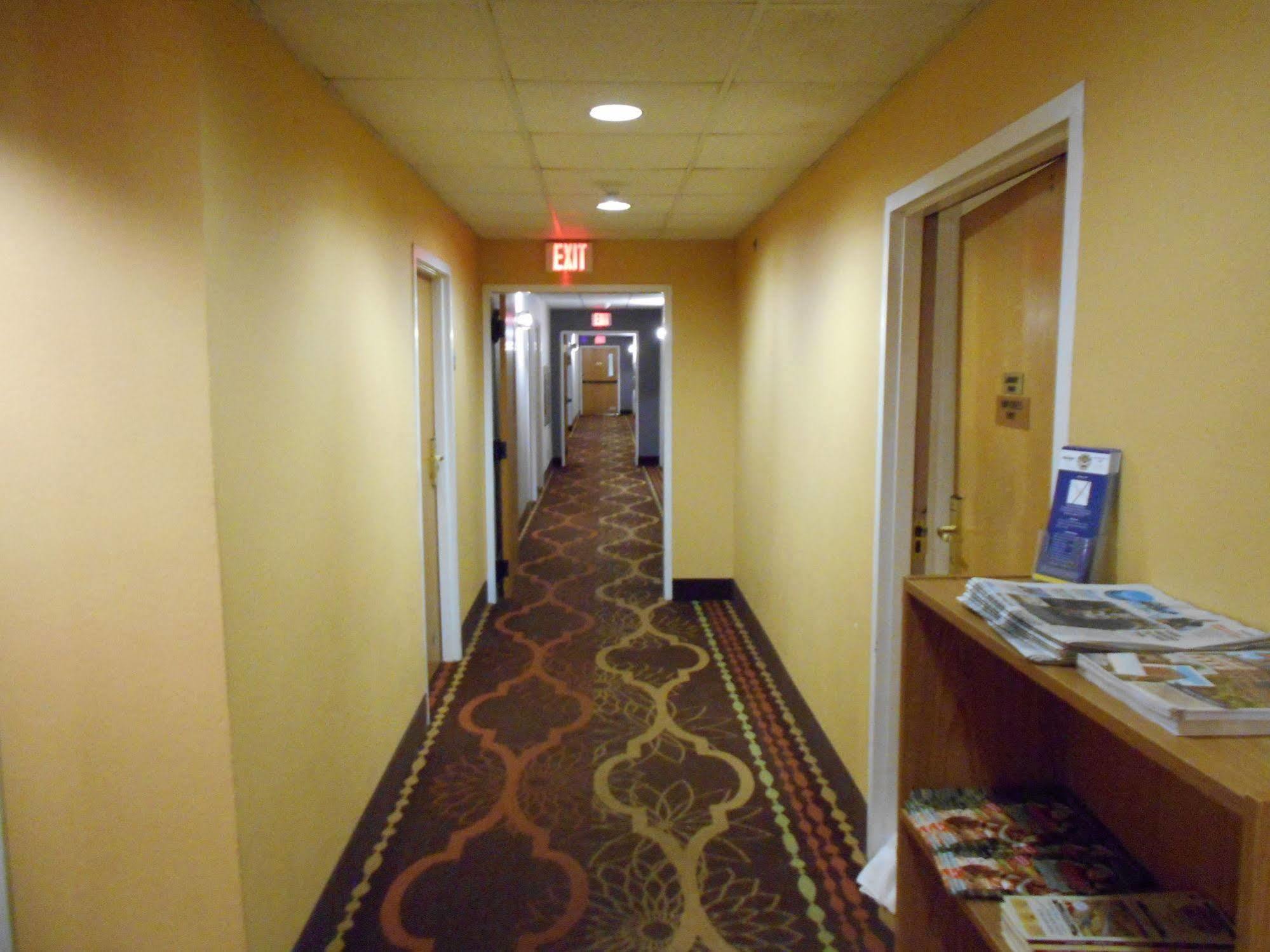 לייתם Microtel Inn By Wyndham - Albany Airport מראה חיצוני תמונה